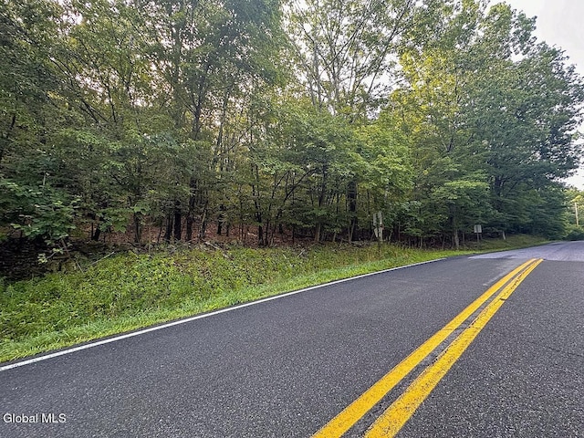 L24.12 N Nassau Rd, Sand Lake, NY 12018 - photo 5
