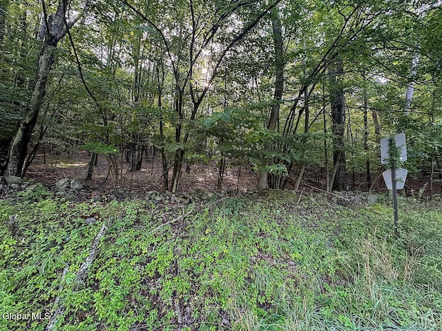 L24.12 N Nassau Rd, Sand Lake, NY 12018 - photo 6