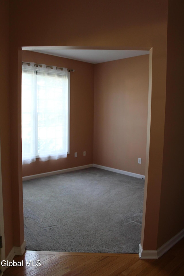 18 Lupine Dr, Malta, NY 12020 - photo 9