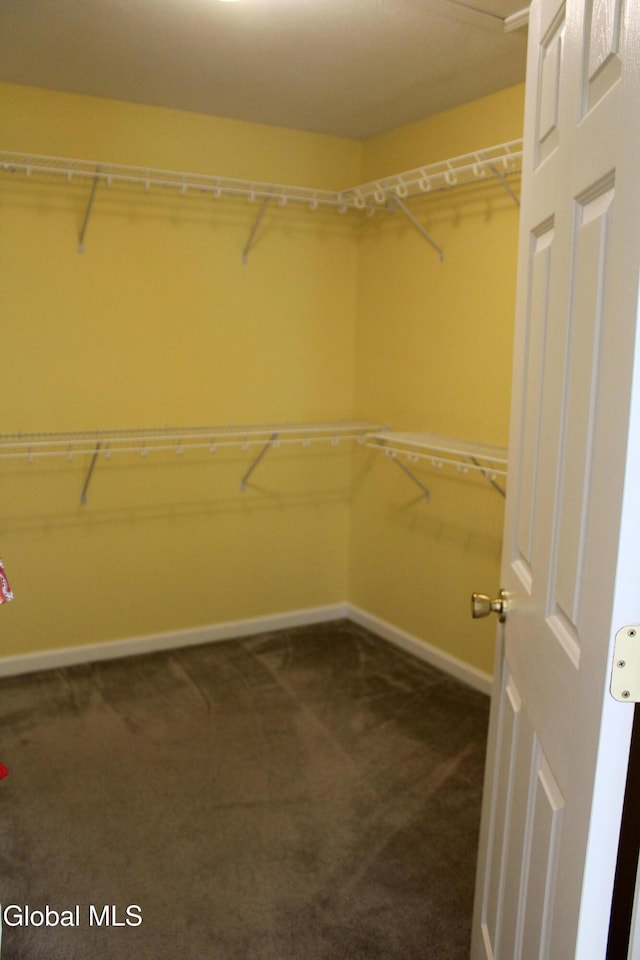18 Lupine Dr, Malta, NY 12020 - photo 36