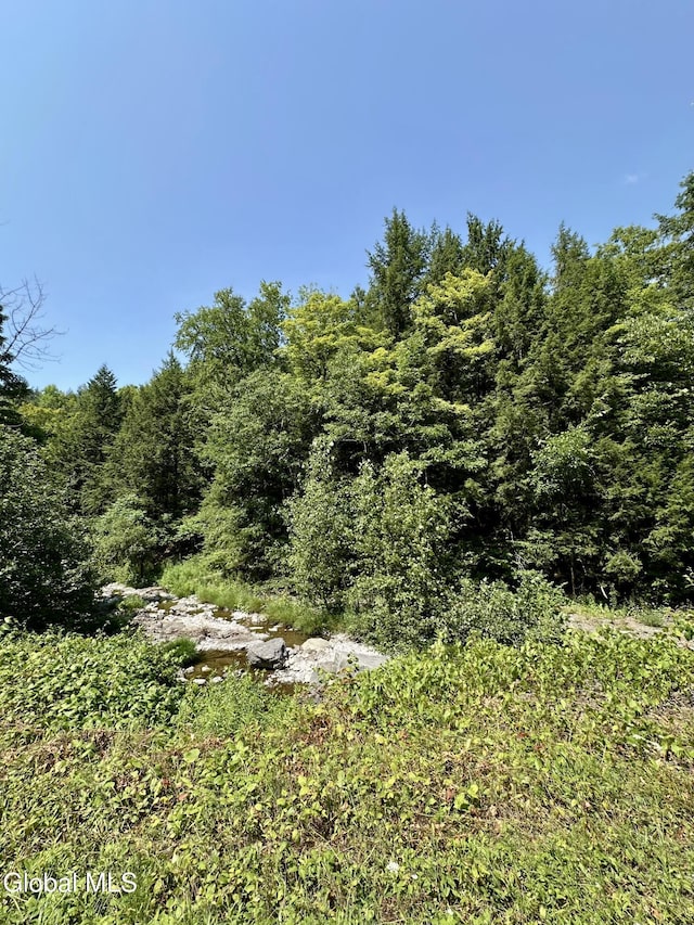 1166 Hauverville Rd, Middleburgh, NY 12122 - photo 18