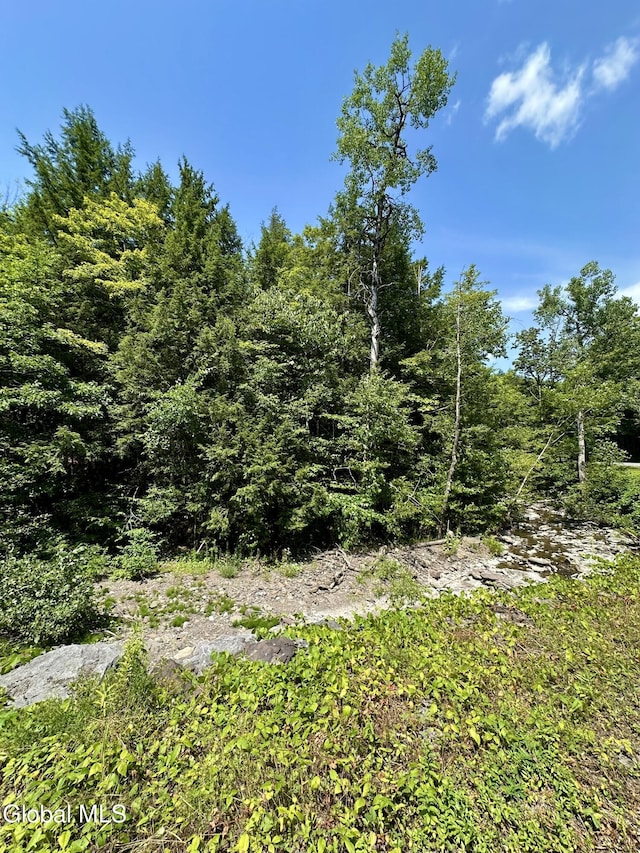1166 Hauverville Rd, Middleburgh, NY 12122 - photo 19