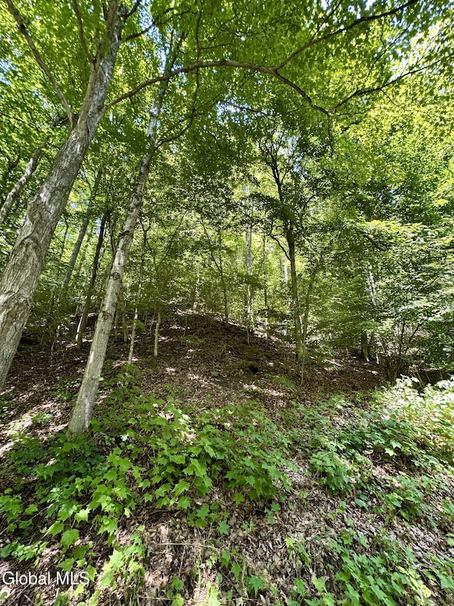 1166 Hauverville Rd, Middleburgh, NY 12122 - photo 20
