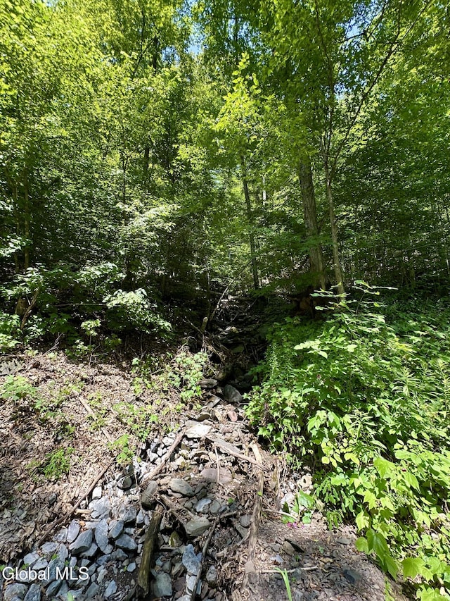 1166 Hauverville Rd, Middleburgh, NY 12122 - photo 21