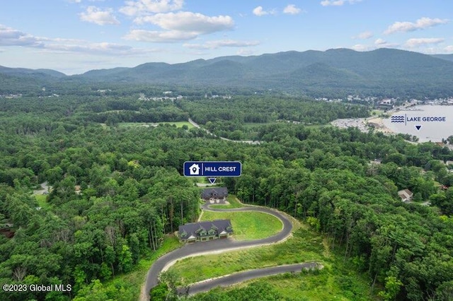 30 Hill Crest Ln Unit 11, Lake George, NY 12845 - photo 2
