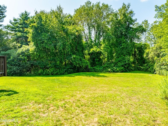 114 Stone Quarry Rd, Halfmoon, NY 12065 - photo 53