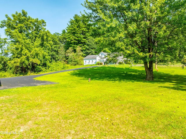 114 Stone Quarry Rd, Halfmoon, NY 12065 - photo 58