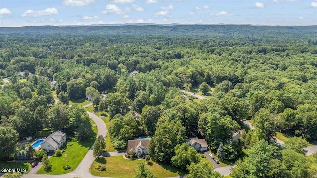 23 Challedon Dr, Wilton, NY 12831 - photo 52