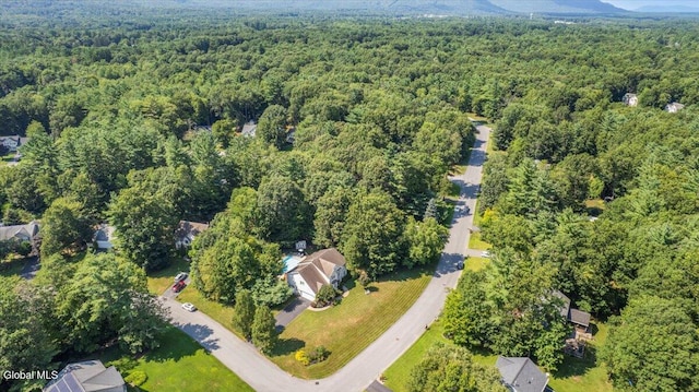 23 Challedon Dr, Wilton, NY 12831 - photo 53