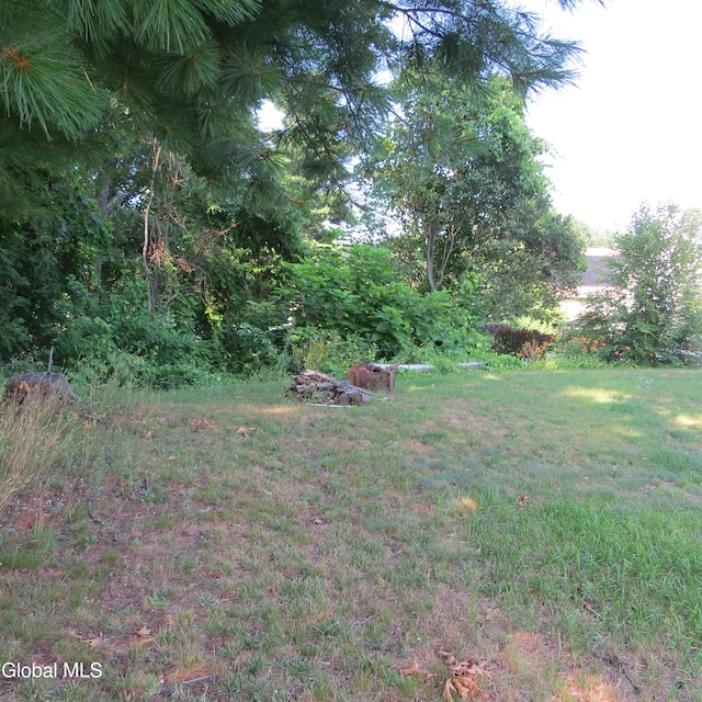 455 Chiswell Rd, Schenectady, NY 12304 - photo 10