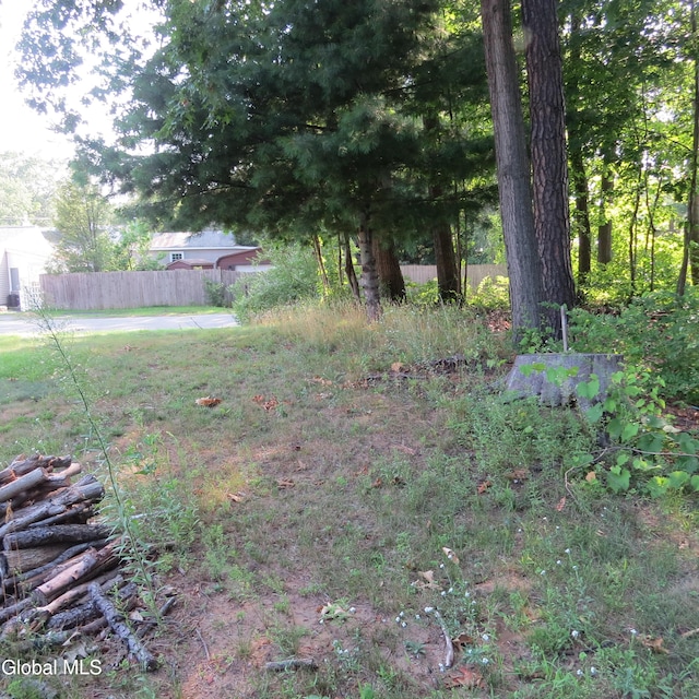 455 Chiswell Rd, Schenectady, NY 12304 - photo 11