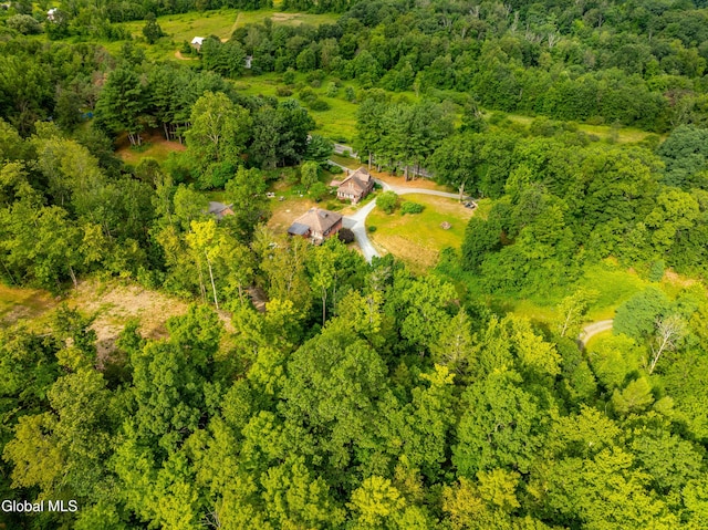 3041 State Route 66, Chatham, NY 12037 - photo 25