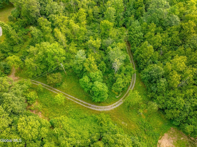 3041 State Route 66, Chatham, NY 12037 - photo 30