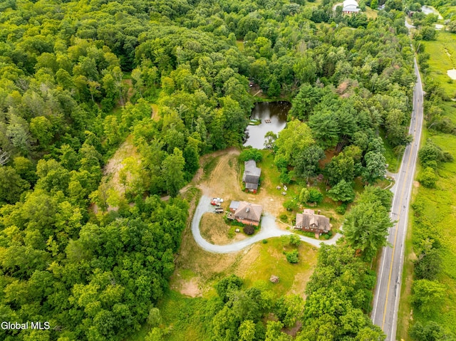 3041 State Route 66, Chatham, NY 12037 - photo 32