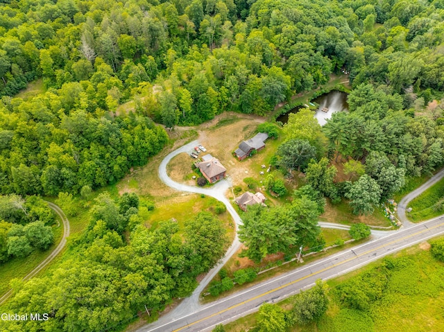 3041 State Route 66, Chatham, NY 12037 - photo 33