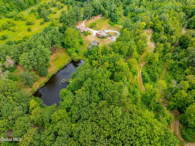 3041 State Route 66, Chatham, NY 12037 - photo 36
