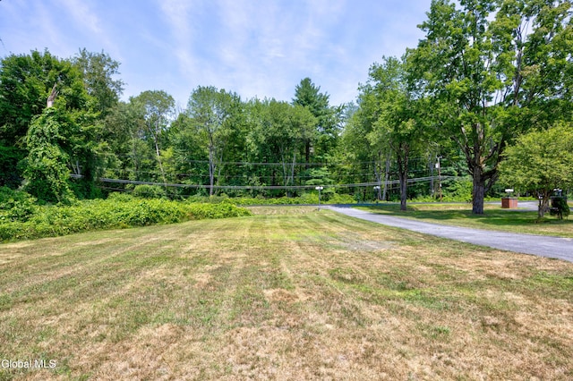 1648 Crescent Rd, Clifton Park, NY 12065 - photo 50