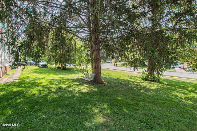 55 Sloane Ave, Amsterdam, NY 12010 - photo 6
