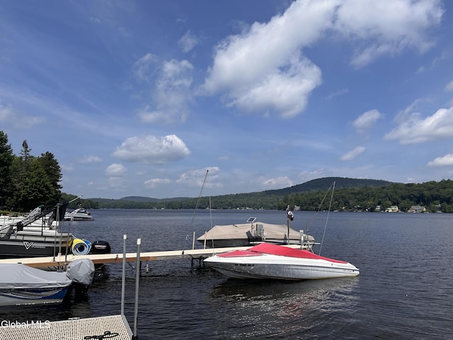 232 Fulton Rd, Caroga Lake, NY 12032 - photo 53