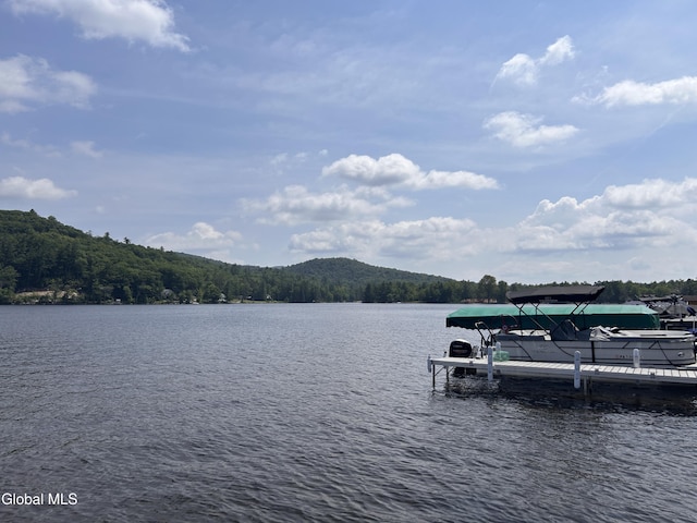 232 Fulton Rd, Caroga Lake, NY 12032 - photo 54