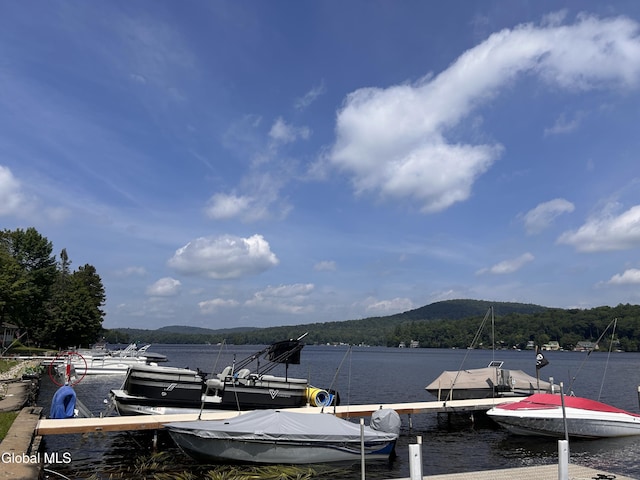 232 Fulton Rd, Caroga Lake, NY 12032 - photo 55