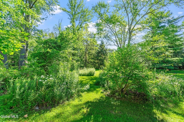 664 St Davids Ln, Niskayuna, NY 12309 - photo 48