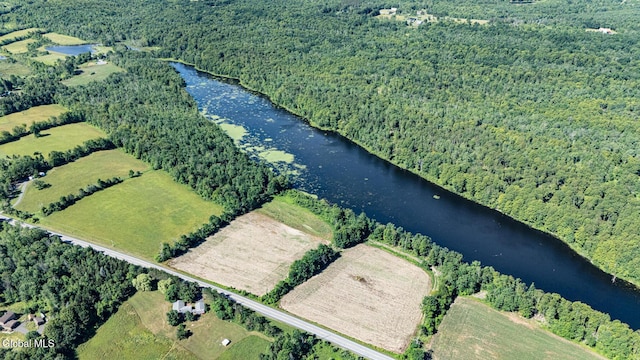 363 Joslyn School Rd, Berne, NY 12059 - photo 1