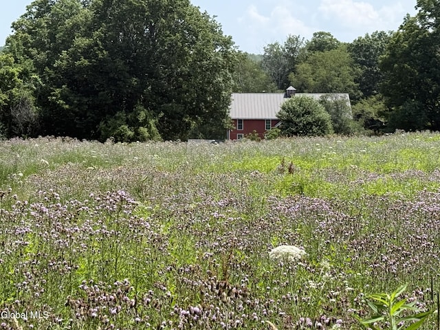 363 Joslyn School Rd, Berne, NY 12059 - photo 24