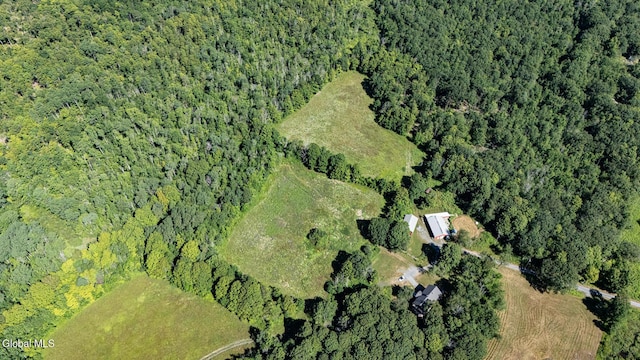 363 Joslyn School Rd, Berne, NY 12059 - photo 26