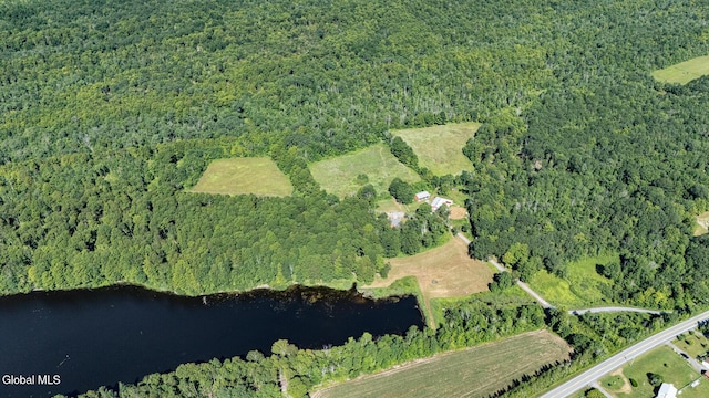 363 Joslyn School Rd, Berne, NY 12059 - photo 29