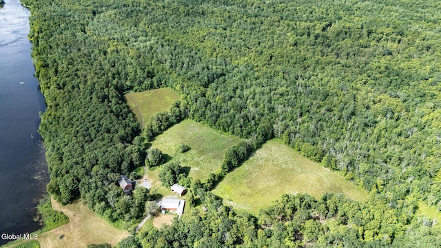 363 Joslyn School Rd, Berne, NY 12059 - photo 32
