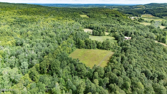 363 Joslyn School Rd, Berne, NY 12059 - photo 41