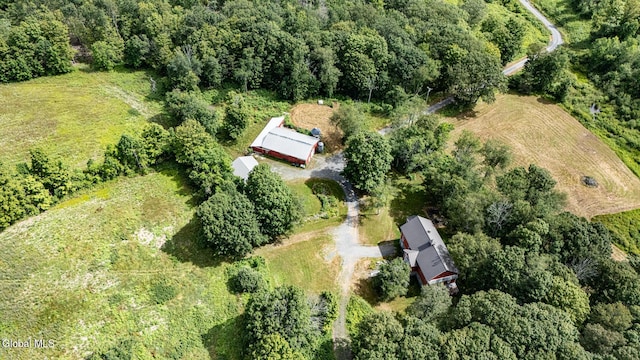 363 Joslyn School Rd, Berne, NY 12059 - photo 42