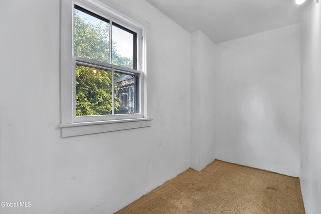 1003 Union St, Schenectady, NY 12308 - photo 14