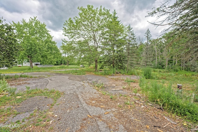 1693 Thatcher Park Rd, Berne, NY 12059 - photo 28