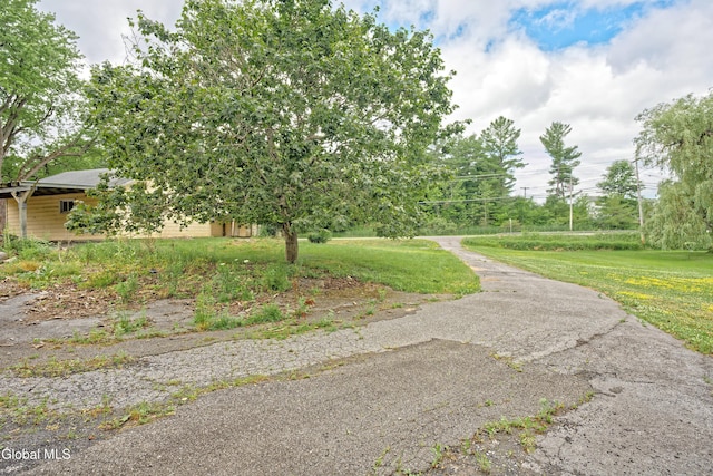 1693 Thatcher Park Rd, Berne, NY 12059 - photo 29
