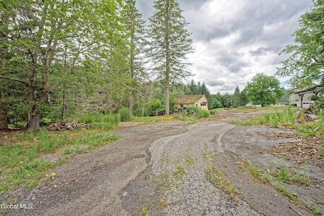1693 Thatcher Park Rd, Berne, NY 12059 - photo 30