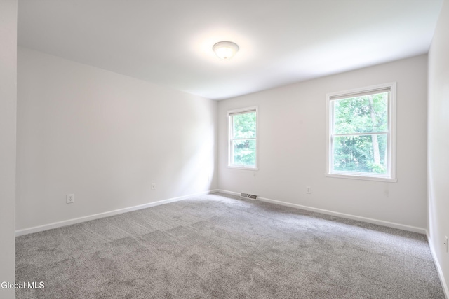 31 Dorsman Dr, Clifton Park, NY 12065 - photo 33