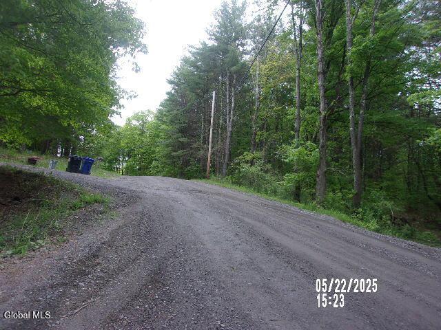 271 Hickey Rd, Hampton, NY 12837 - photo 2
