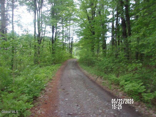 271 Hickey Rd, Hampton, NY 12837 - photo 4