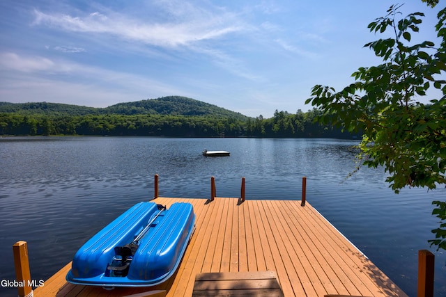 119 N Copeland Pond Way, Fort Ann, NY 12827 - photo 10