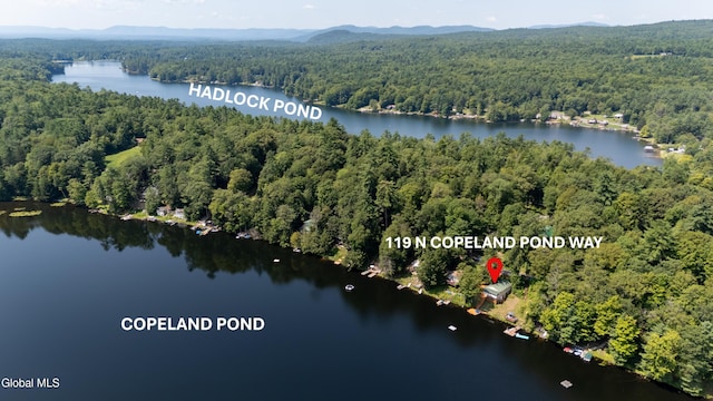 119 N Copeland Pond Way, Fort Ann, NY 12827 - photo 17