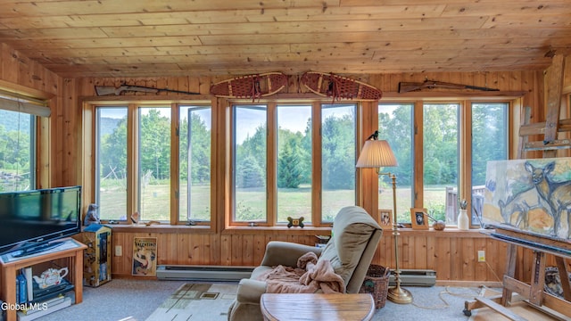 126 Bartman Rd, Johnsburg, NY 12811 - photo 26