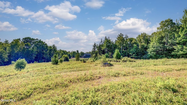 126 Bartman Rd, Johnsburg, NY 12811 - photo 64