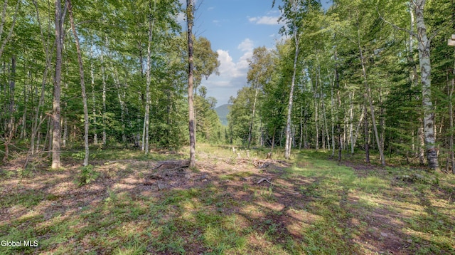 126 Bartman Rd, Johnsburg, NY 12811 - photo 65