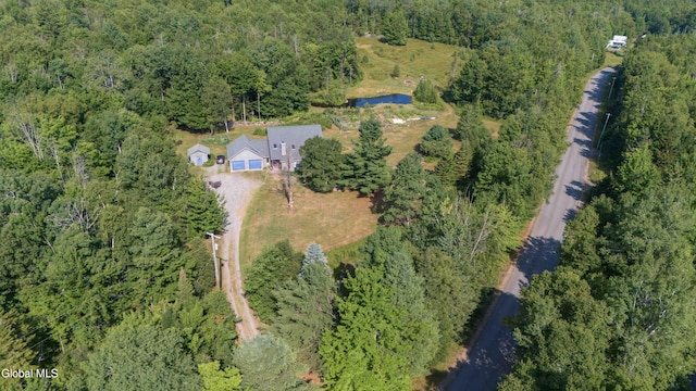 126 Bartman Rd, Johnsburg, NY 12811 - photo 8