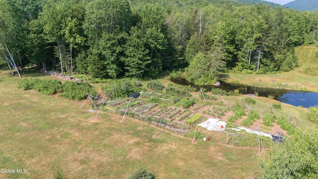 126 Bartman Rd, Johnsburg, NY 12811 - photo 60