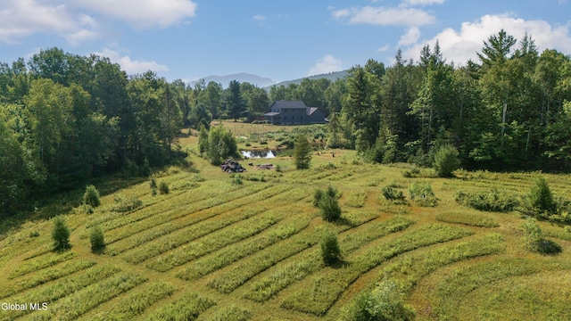 126 Bartman Rd, Johnsburg, NY 12811 - photo 68