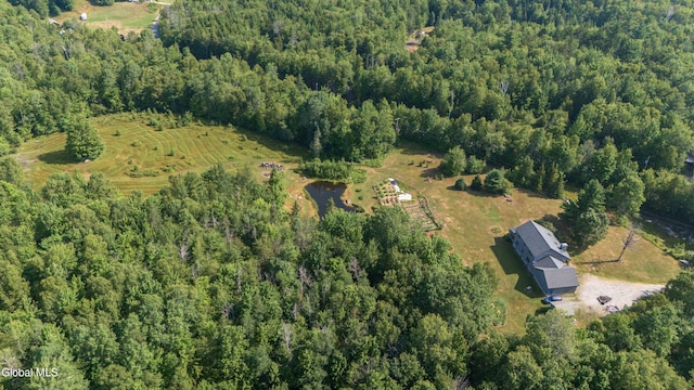 126 Bartman Rd, Johnsburg, NY 12811 - photo 70