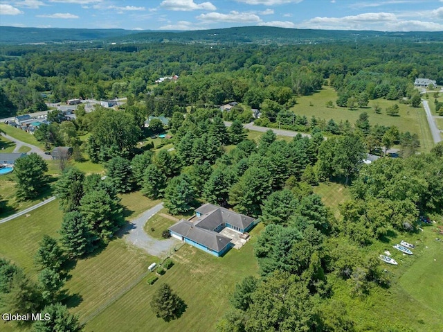 6990 State Route 158, Altamont, NY 12009 - photo 25